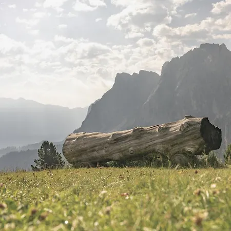 Ciasa Iachin - Dolomites Dream Retreat Appartamento