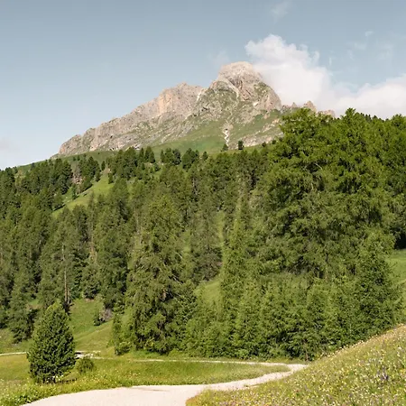 Ciasa Iachin - Dolomites Dream Retreat * San Martino in Badia