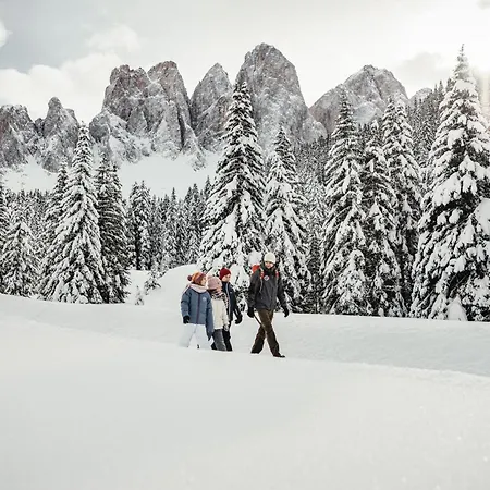 Ciasa Iachin - Dolomites Dream Retreat *