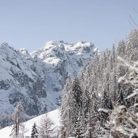 Ciasa Iachin - Dolomites Dream Retreat Appartamento San Martino in Badia